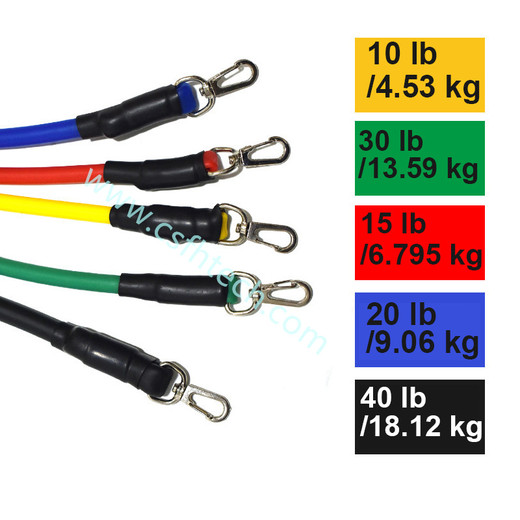 Csfhtech 11 Pcs Resistance Bands Set Fitness Bands Resistance Gym Equipment Exercise Bands Pull Rope Fitness Elastic Training Expander 