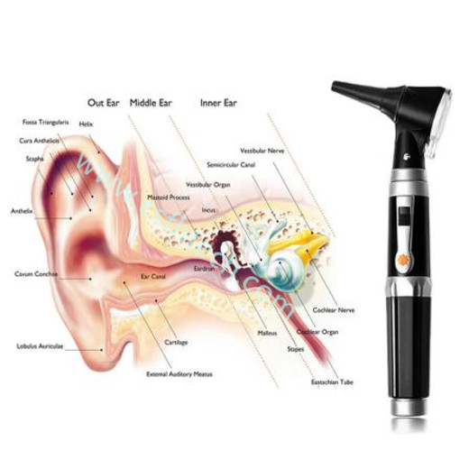 Csfhtech Medical CE Professional ENT Diagnostic Kit Borescope Portable Ear Wax Check Tool Endoscope LED Otoscopio Direct Fiber Otoscope: