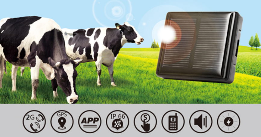 cow gps tracker.png